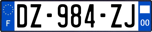 DZ-984-ZJ