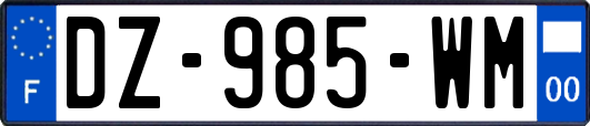 DZ-985-WM