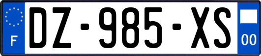 DZ-985-XS