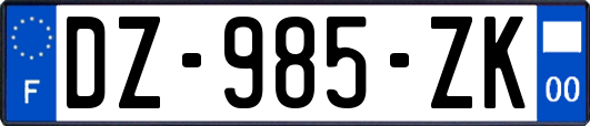 DZ-985-ZK