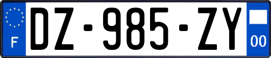 DZ-985-ZY