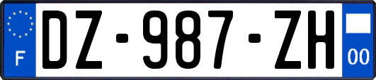 DZ-987-ZH