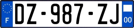 DZ-987-ZJ