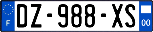 DZ-988-XS