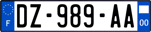 DZ-989-AA