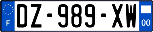 DZ-989-XW