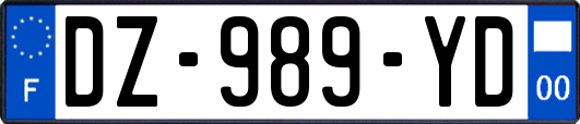 DZ-989-YD