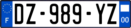 DZ-989-YZ