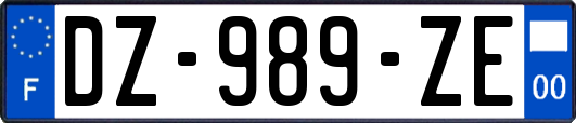 DZ-989-ZE