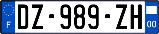 DZ-989-ZH