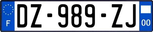 DZ-989-ZJ