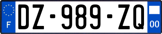 DZ-989-ZQ