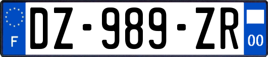 DZ-989-ZR