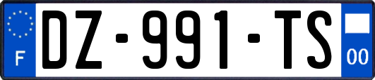 DZ-991-TS