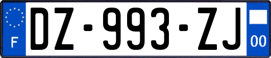 DZ-993-ZJ