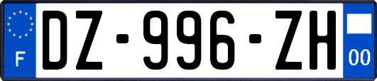 DZ-996-ZH