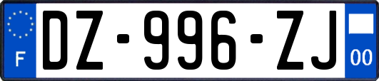 DZ-996-ZJ