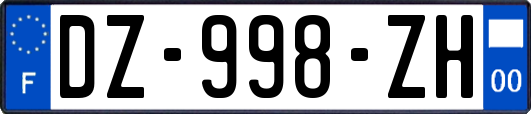 DZ-998-ZH