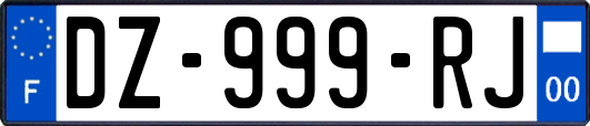 DZ-999-RJ