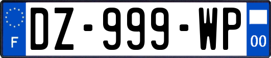 DZ-999-WP