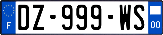 DZ-999-WS