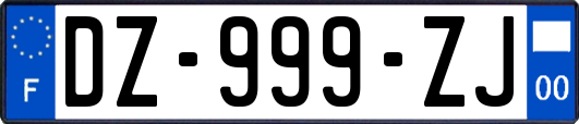 DZ-999-ZJ