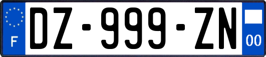 DZ-999-ZN