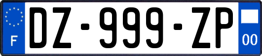 DZ-999-ZP