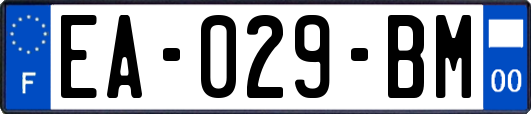 EA-029-BM