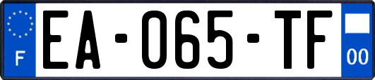 EA-065-TF