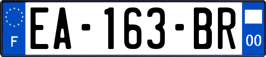 EA-163-BR