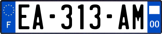 EA-313-AM