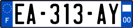 EA-313-AY