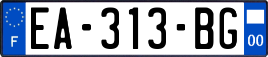 EA-313-BG