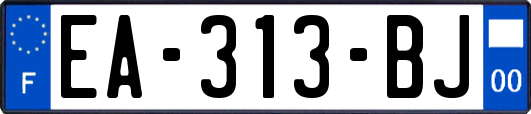 EA-313-BJ