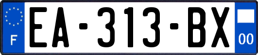 EA-313-BX