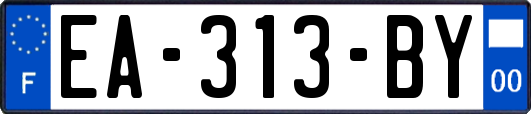 EA-313-BY