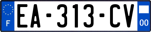 EA-313-CV