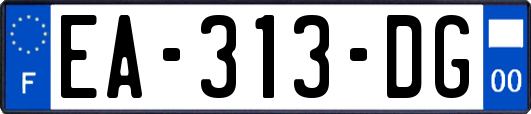 EA-313-DG