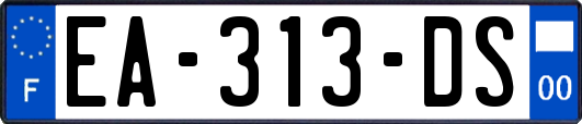 EA-313-DS