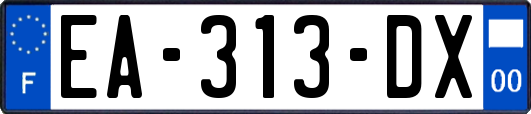 EA-313-DX