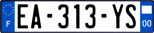 EA-313-YS