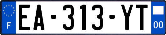 EA-313-YT