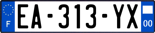 EA-313-YX