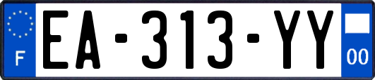 EA-313-YY