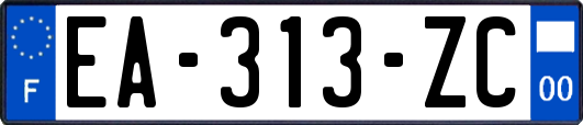 EA-313-ZC