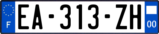 EA-313-ZH