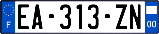 EA-313-ZN