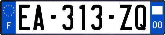EA-313-ZQ