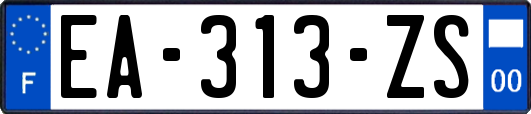 EA-313-ZS
